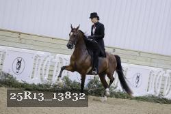 25R13_13832 proof