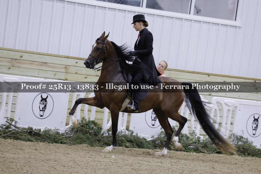 Proof 25R13_13833