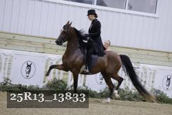 25R13_13833 proof