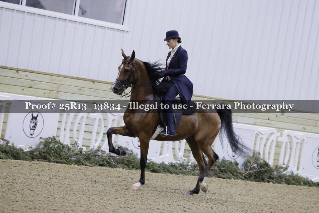 Proof 25R13_13834