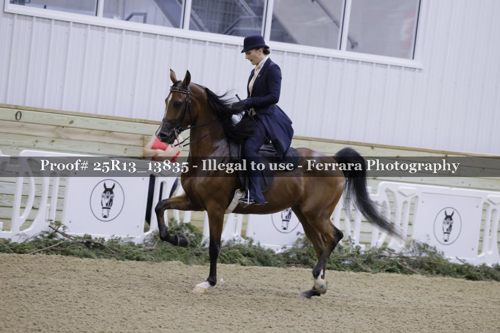 Proof 25R13_13835