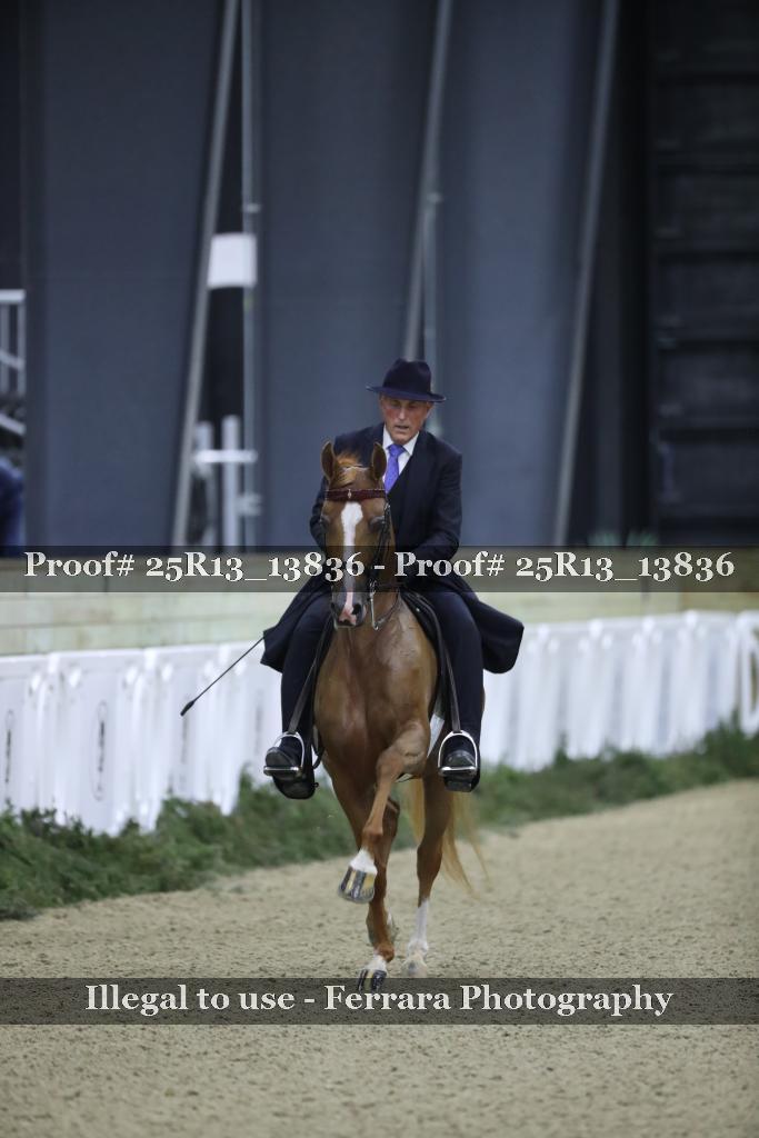 Proof 25R13_13836