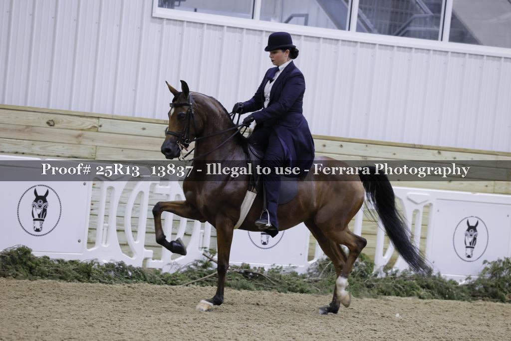 Proof 25R13_13837