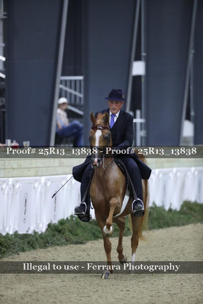 Proof 25R13_13838