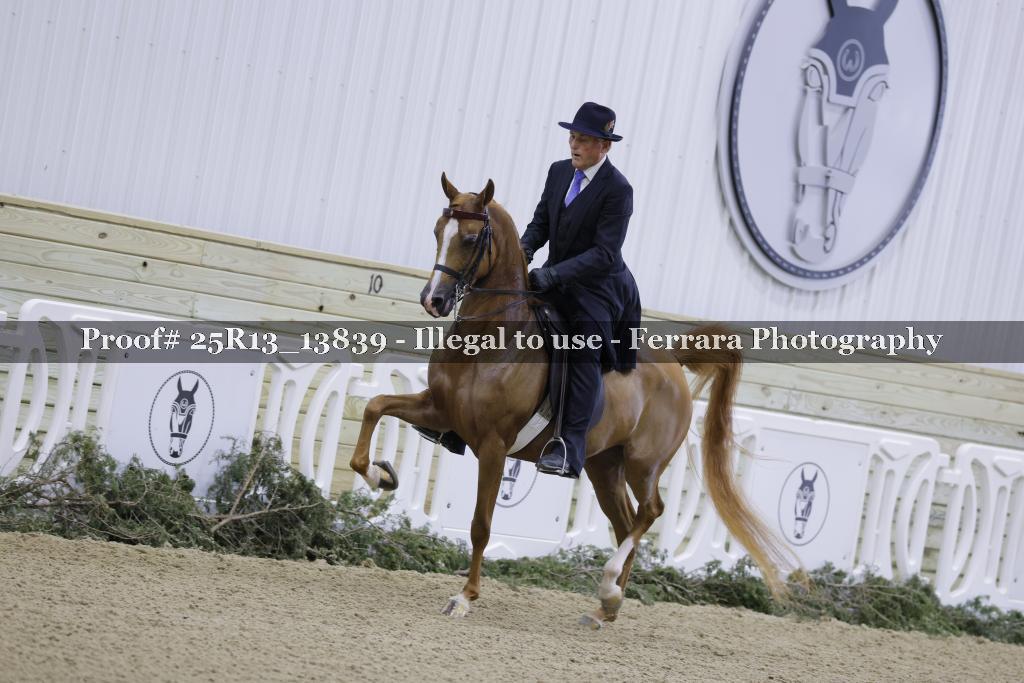 Proof 25R13_13839