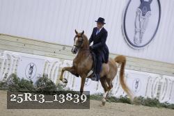 25R13_13839 proof