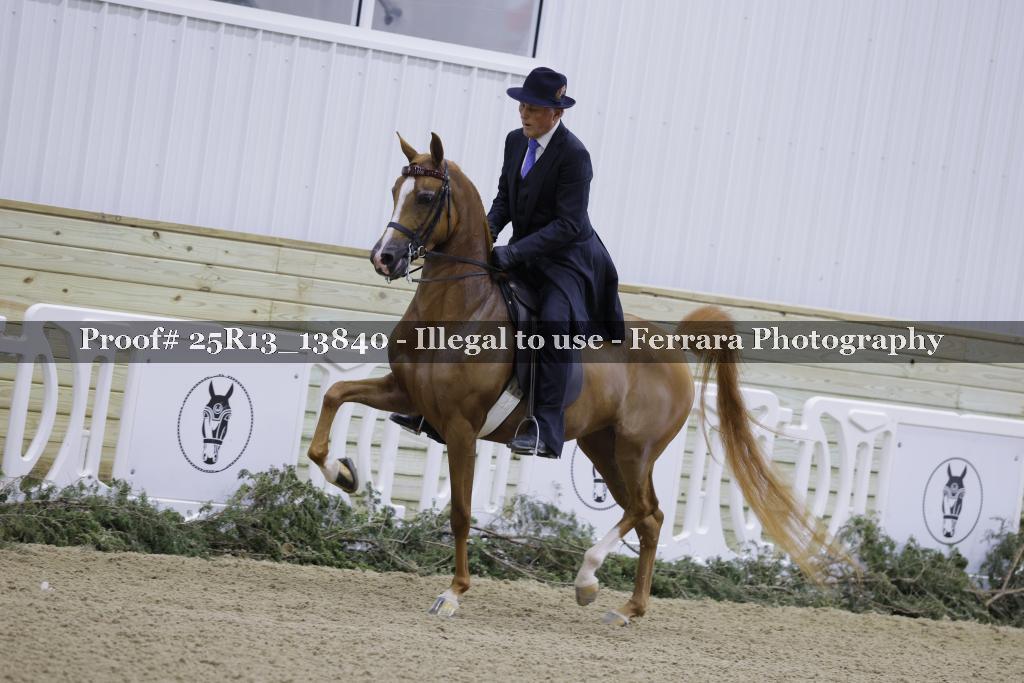 Proof 25R13_13840