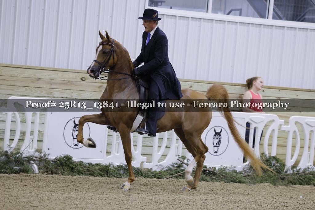 Proof 25R13_13841