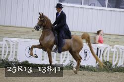 25R13_13841 proof