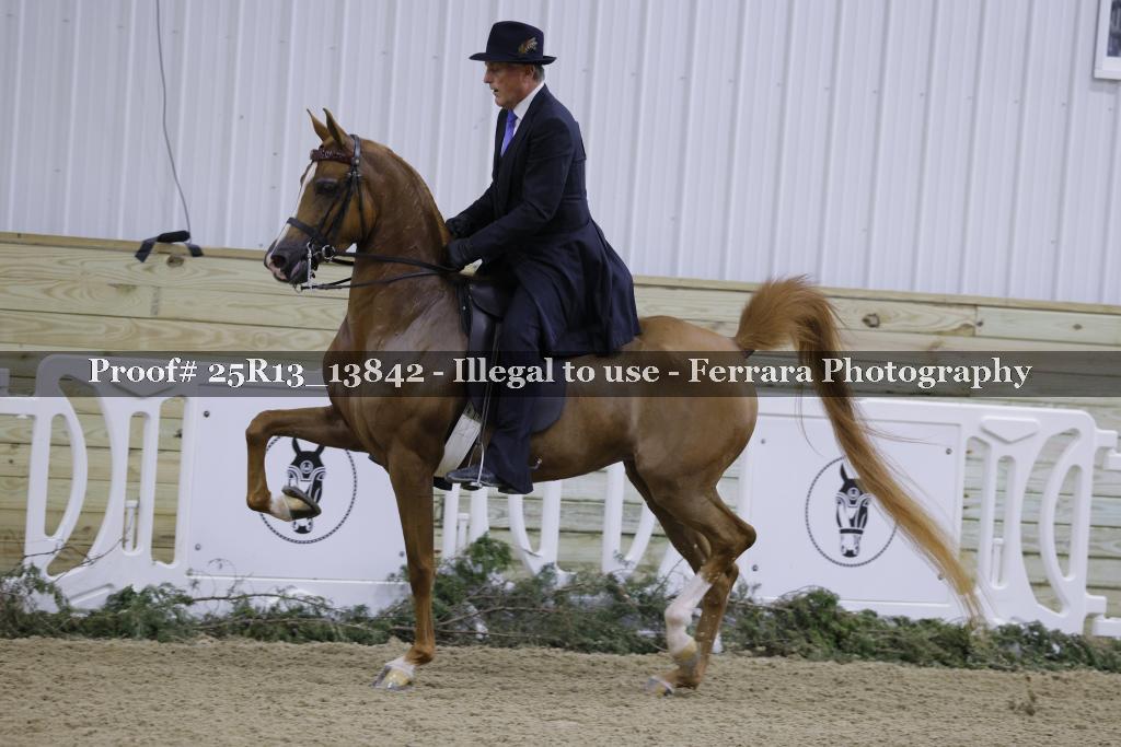 Proof 25R13_13842