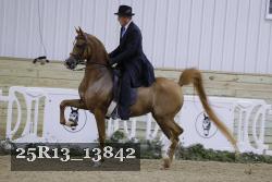 25R13_13842 proof