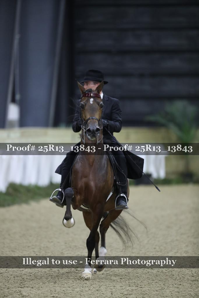 Proof 25R13_13843