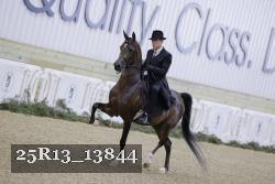 25R13_13844 proof
