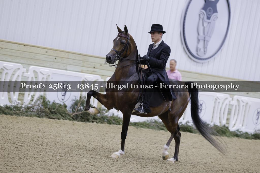 Proof 25R13_13845