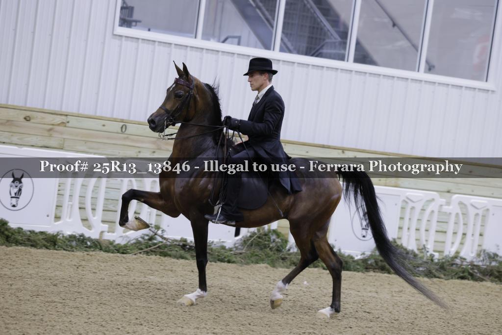 Proof 25R13_13846