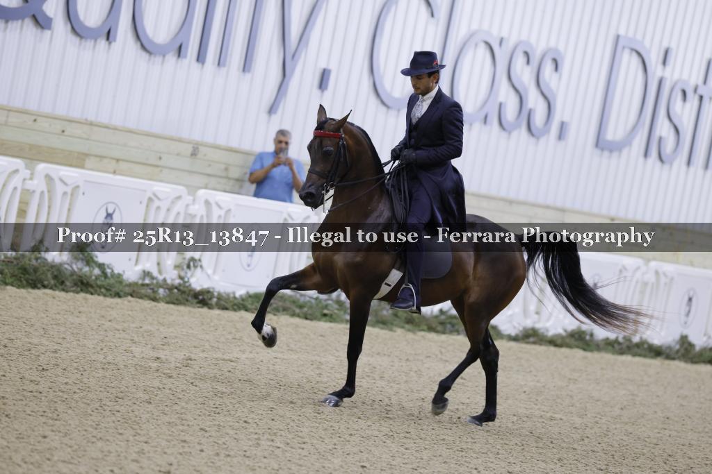 Proof 25R13_13847