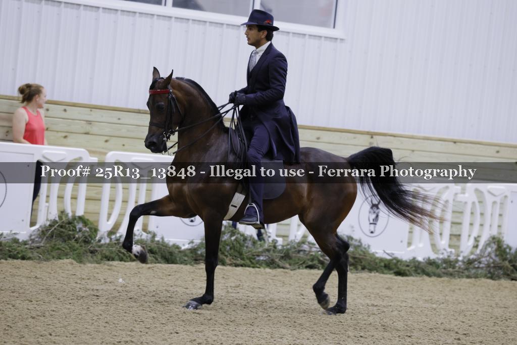 Proof 25R13_13848