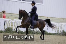 25R13_13848 proof