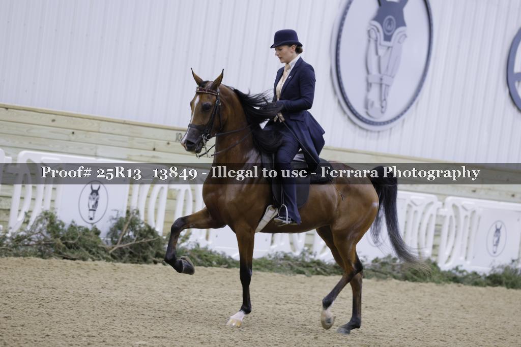 Proof 25R13_13849