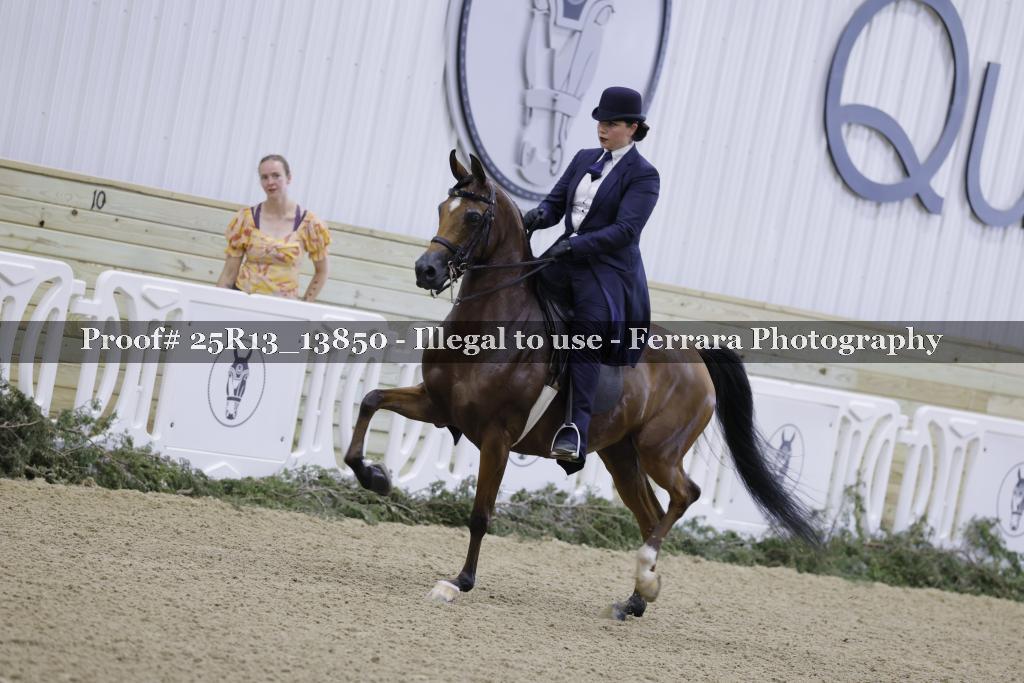 Proof 25R13_13850