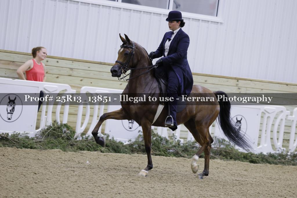 Proof 25R13_13851