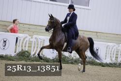 25R13_13851 proof