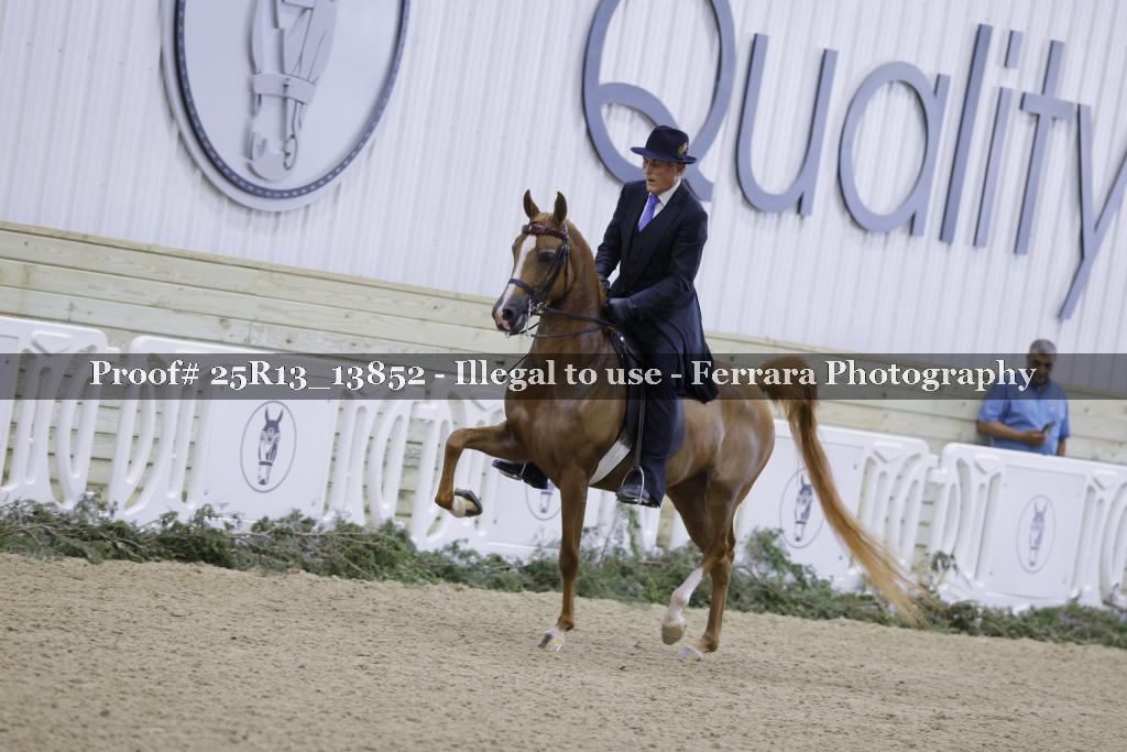 Proof 25R13_13852