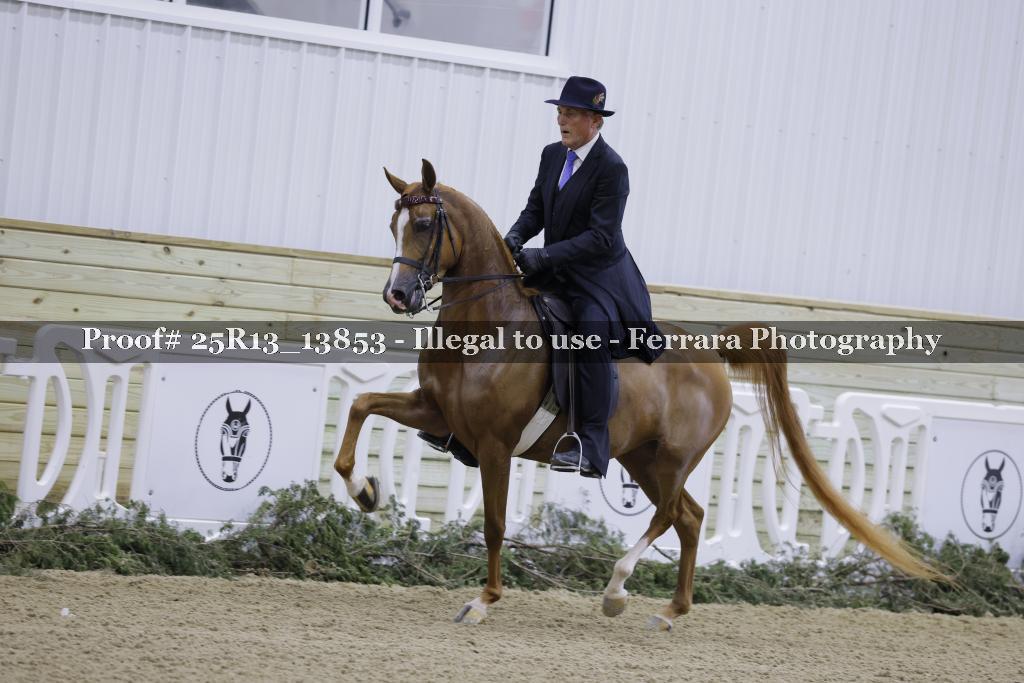 Proof 25R13_13853