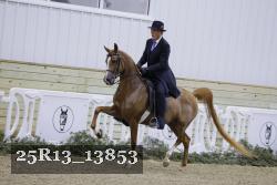 25R13_13853 proof