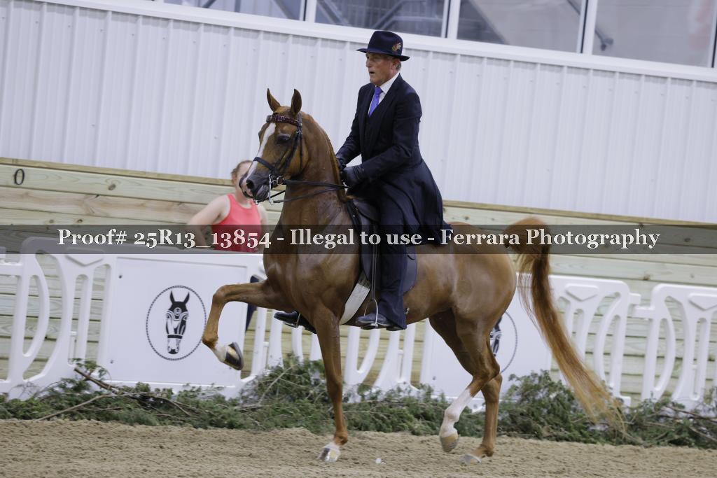 Proof 25R13_13854