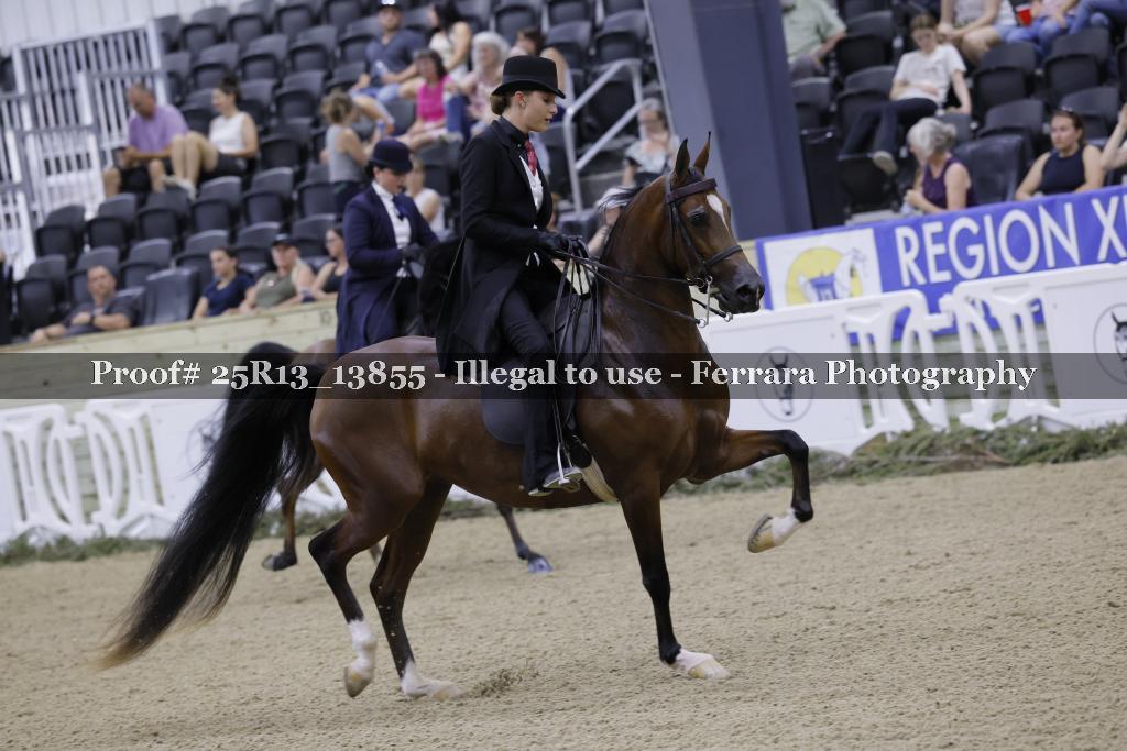 Proof 25R13_13855
