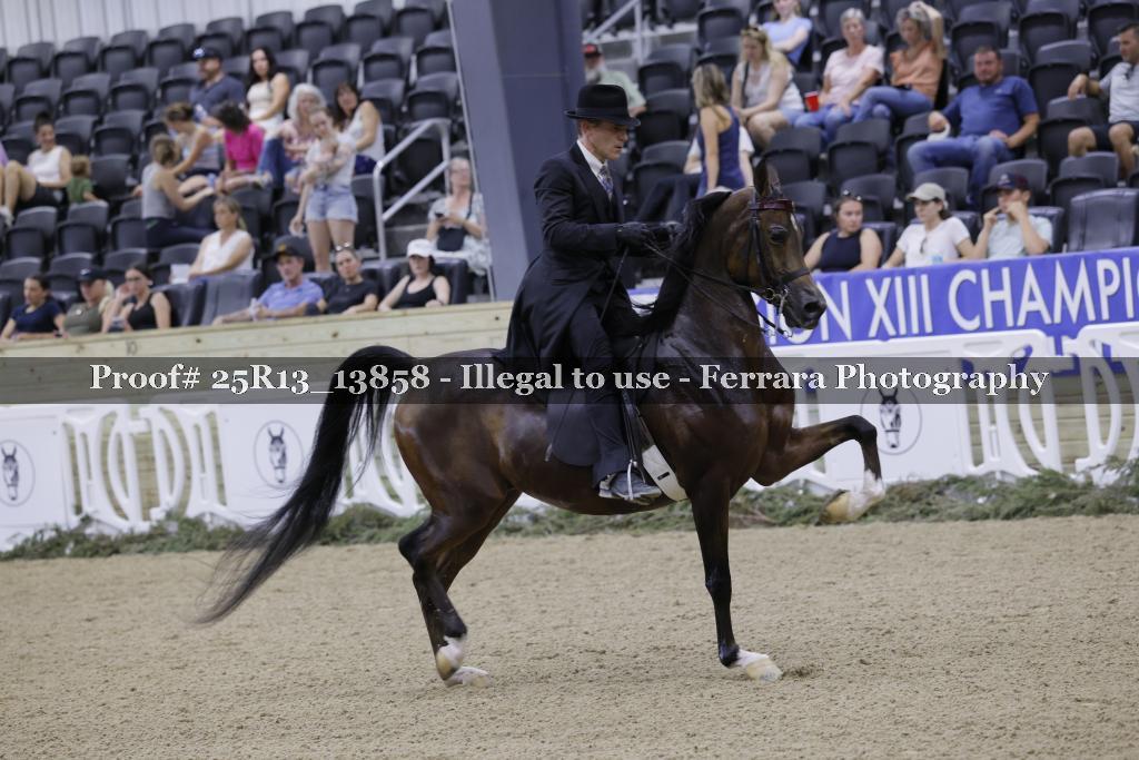 Proof 25R13_13858