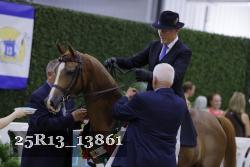 25R13_13861 proof