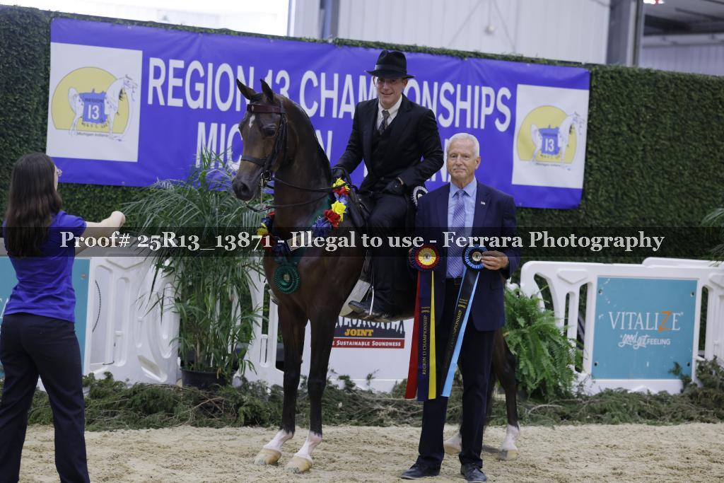 Proof 25R13_13871