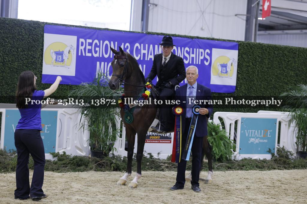 Proof 25R13_13872