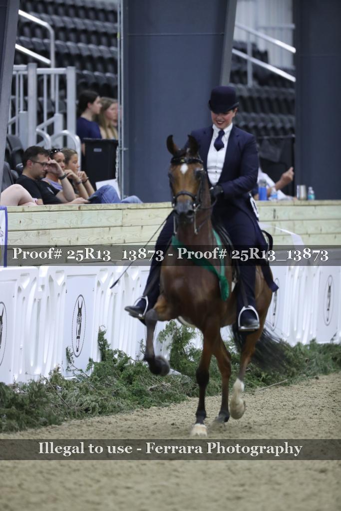 Proof 25R13_13873