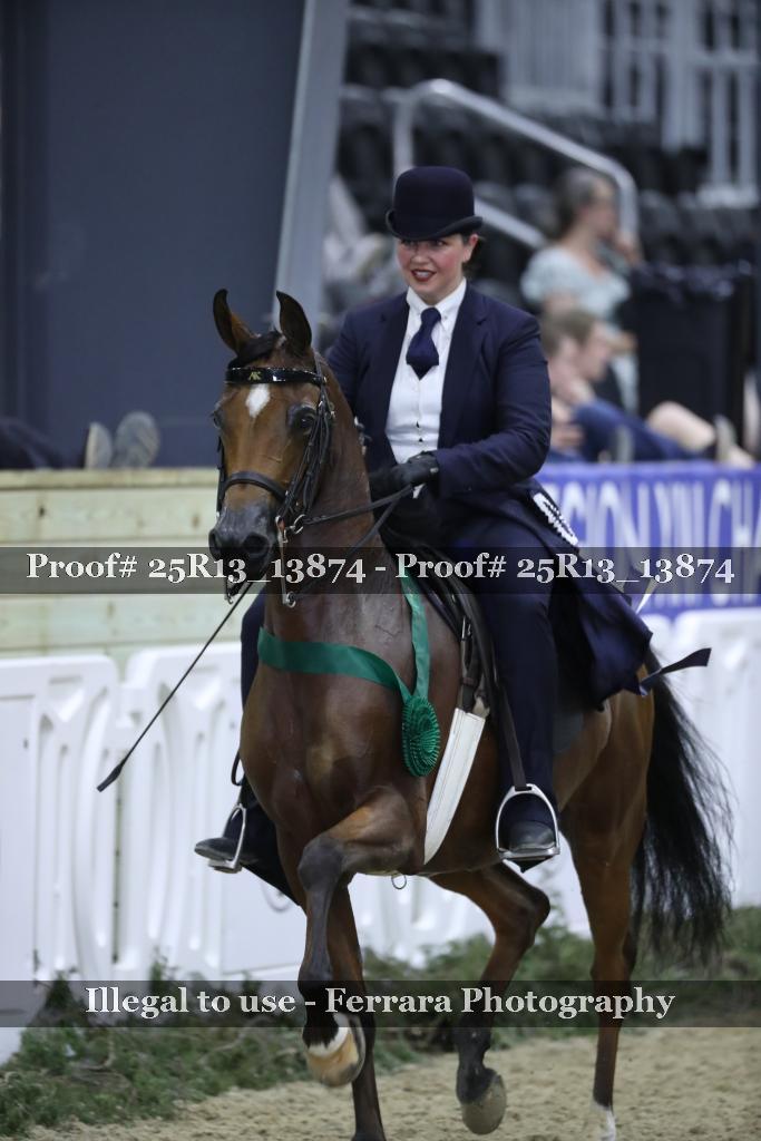 Proof 25R13_13874