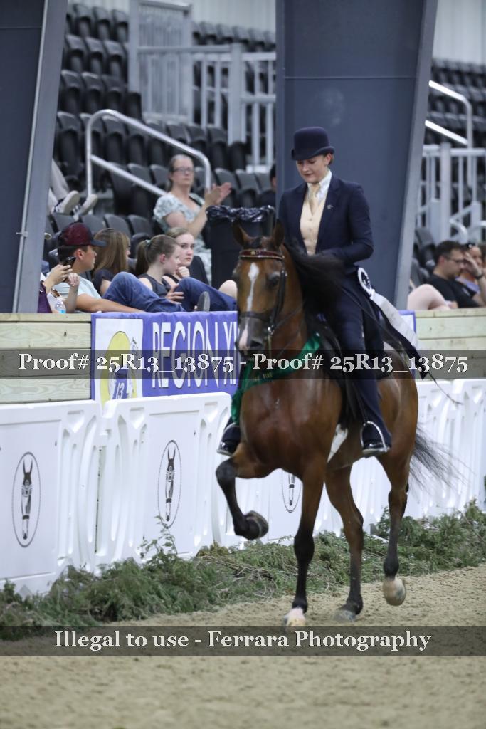 Proof 25R13_13875