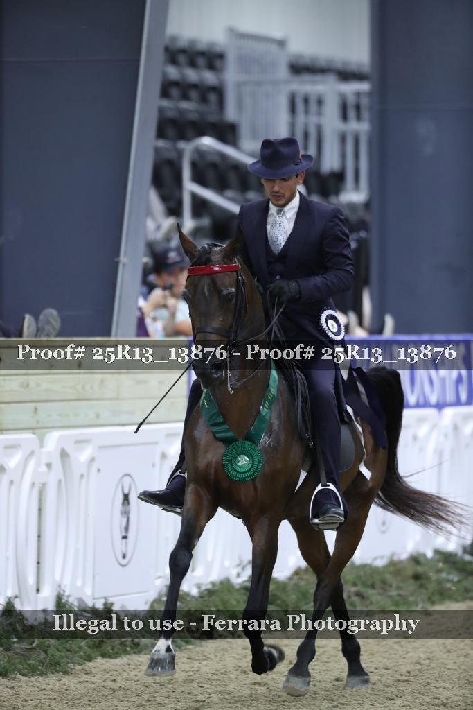 Proof 25R13_13876