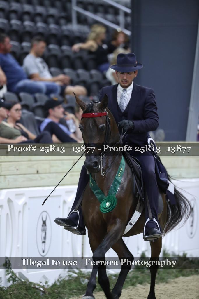 Proof 25R13_13877