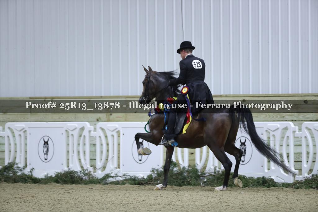 Proof 25R13_13878