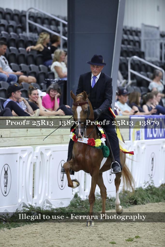 Proof 25R13_13879