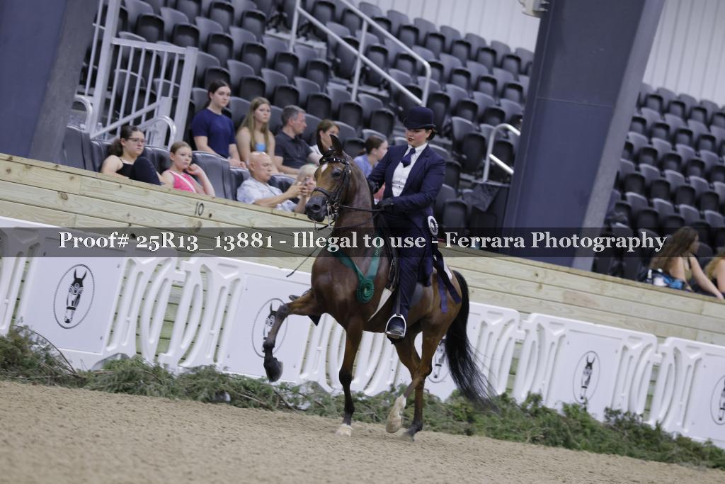 Proof 25R13_13881