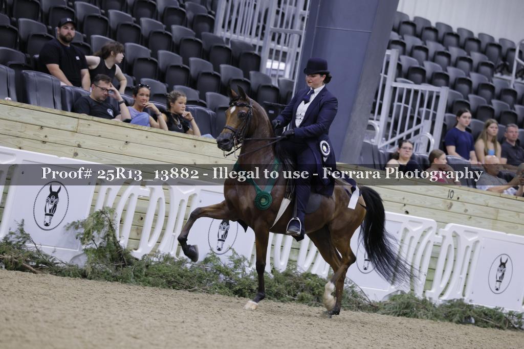 Proof 25R13_13882