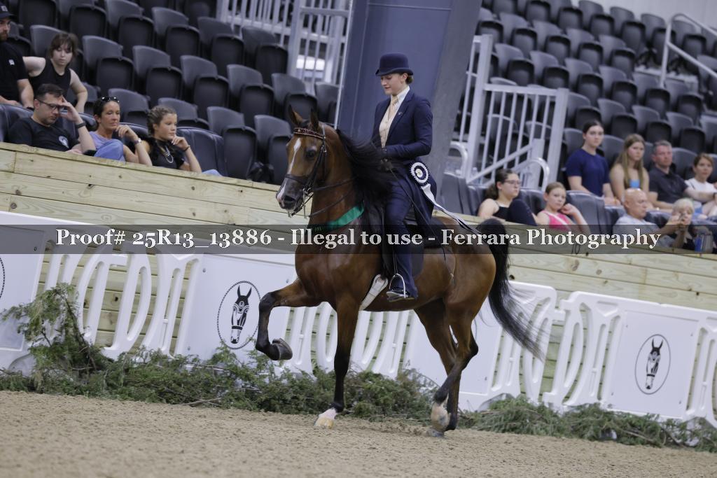 Proof 25R13_13886
