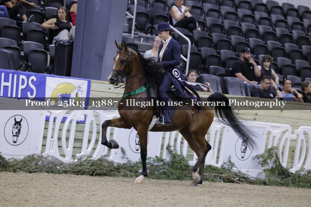 Proof 25R13_13887