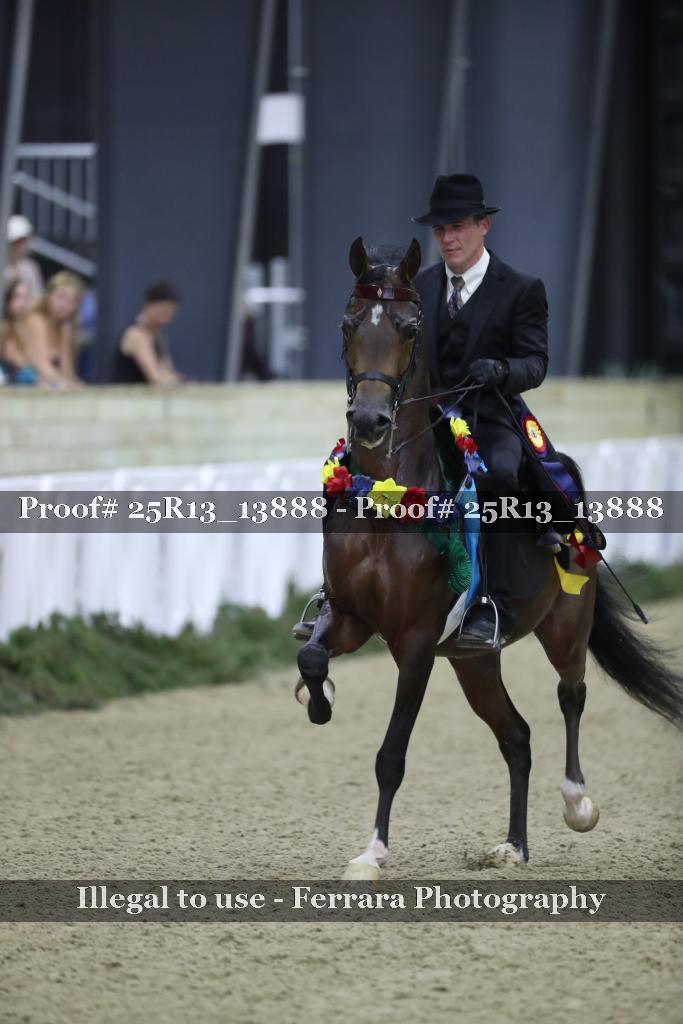Proof 25R13_13888