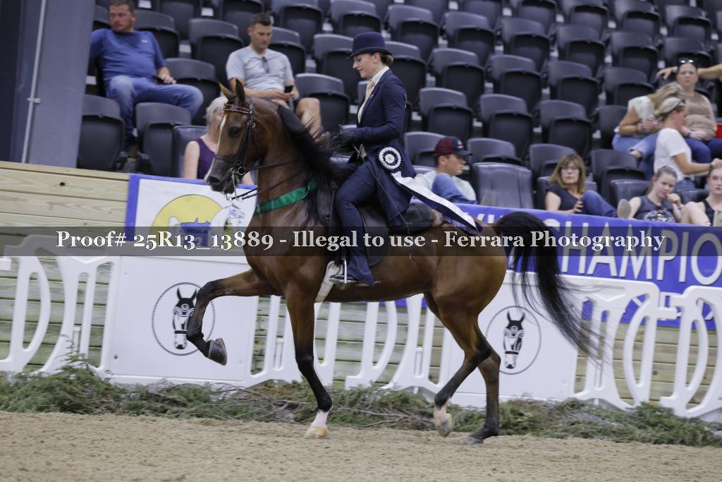 Proof 25R13_13889