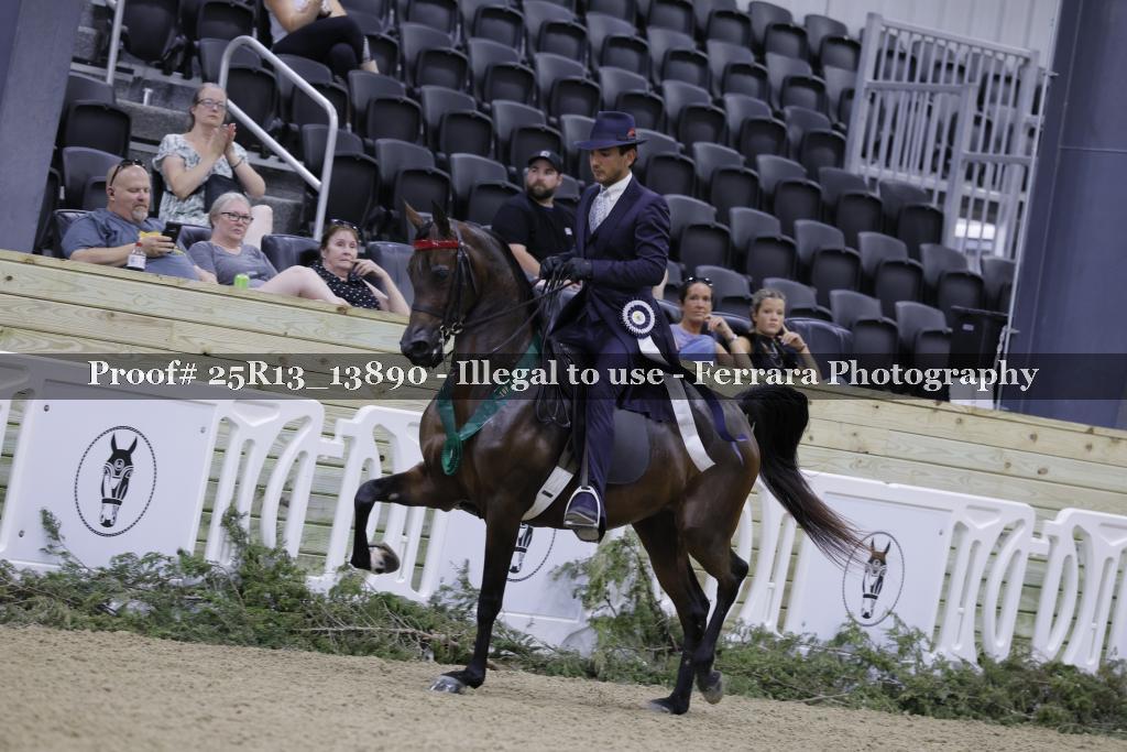 Proof 25R13_13890