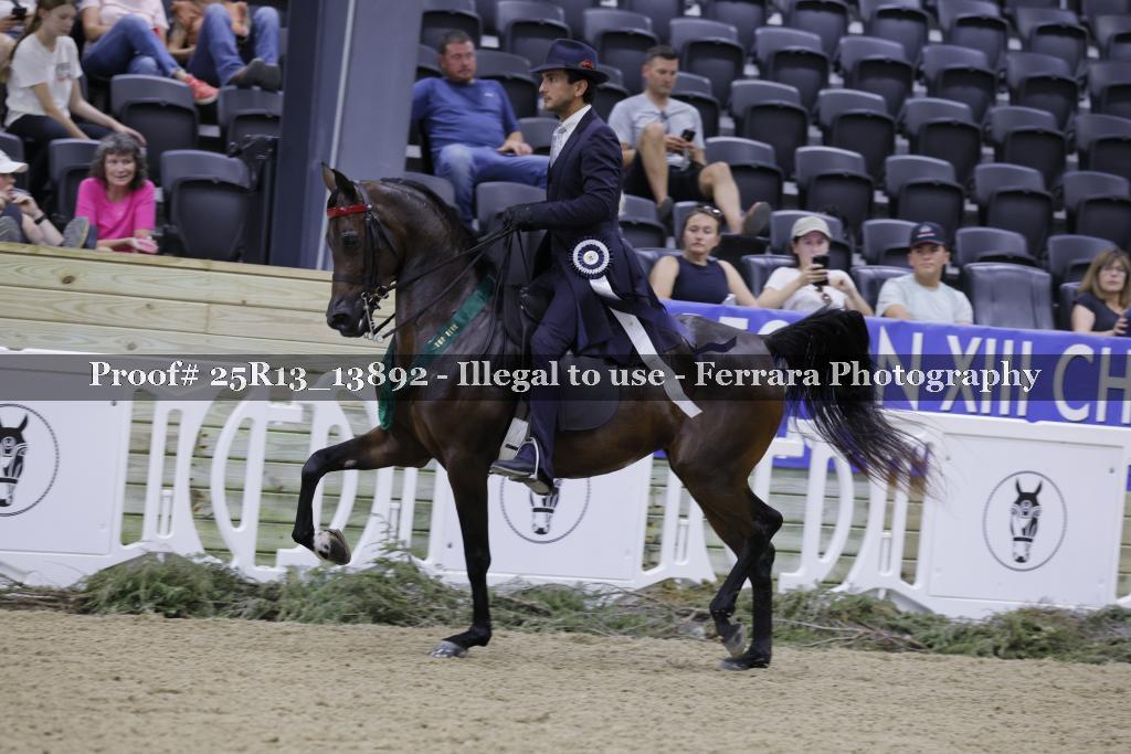 Proof 25R13_13892